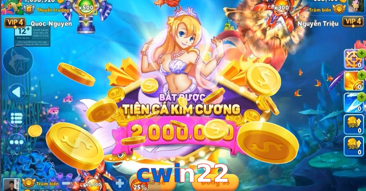 cwin22
